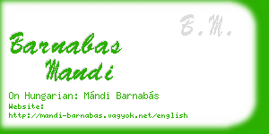 barnabas mandi business card